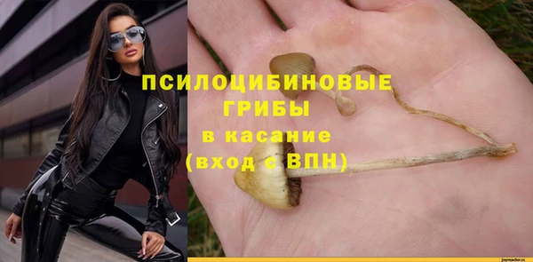 СК Балахна