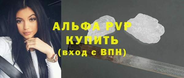 трава Няндома