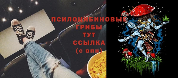 первитин Белокуриха
