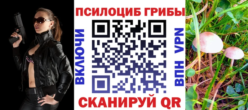 Псилоцибиновые грибы Psilocybe  наркотики  Бежецк 